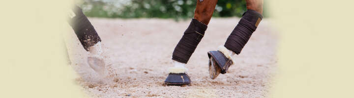 hufglocken kategorieeinstiegsbanner